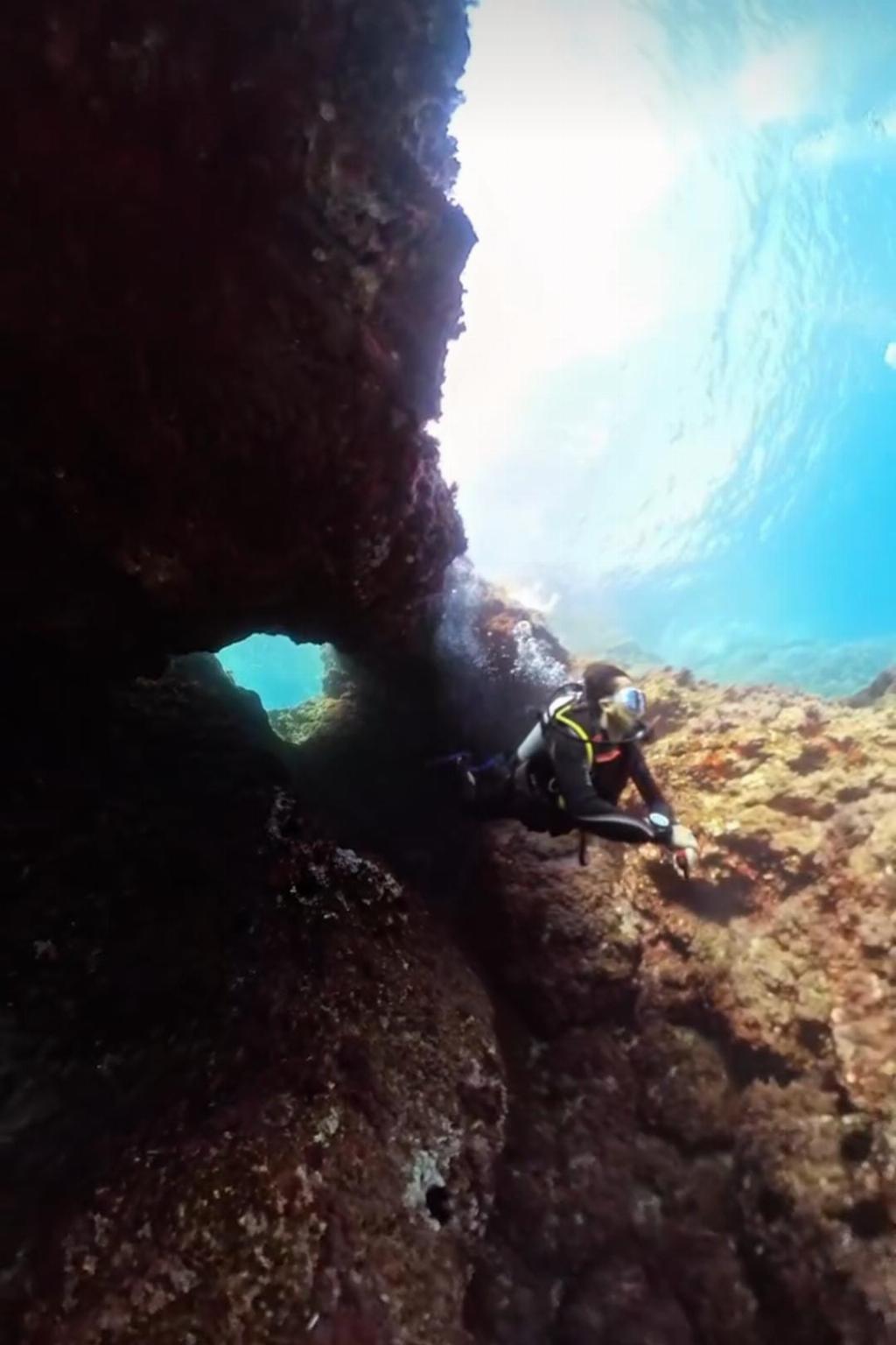 Foto tomada en Parrot Cove. Subida por Tengku Zahasman el oct 26, 2025