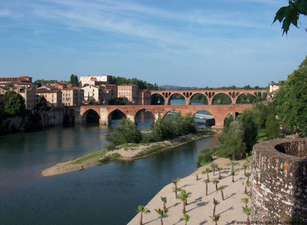 Albi