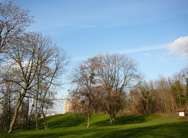 Lille, photo n° 1