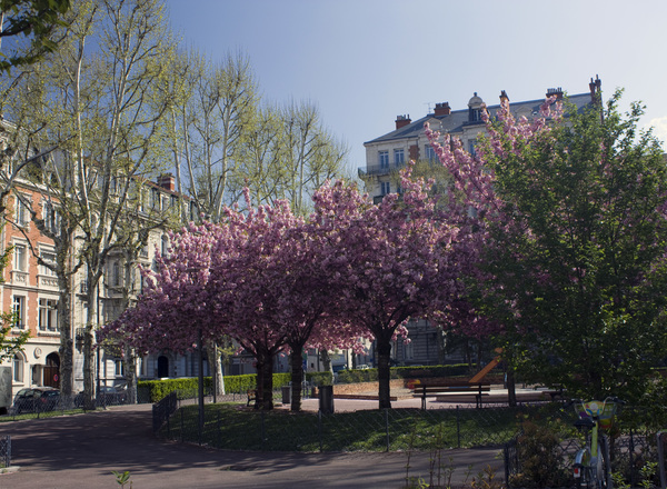 Lille, photo n° 4