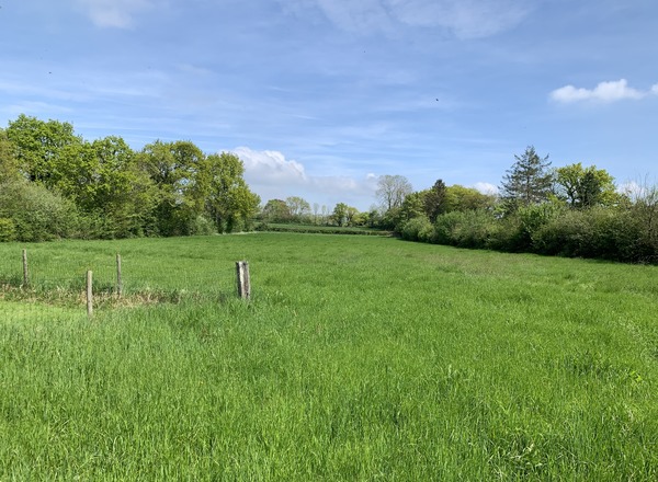 Programme route de Bellebrune à Cremarest