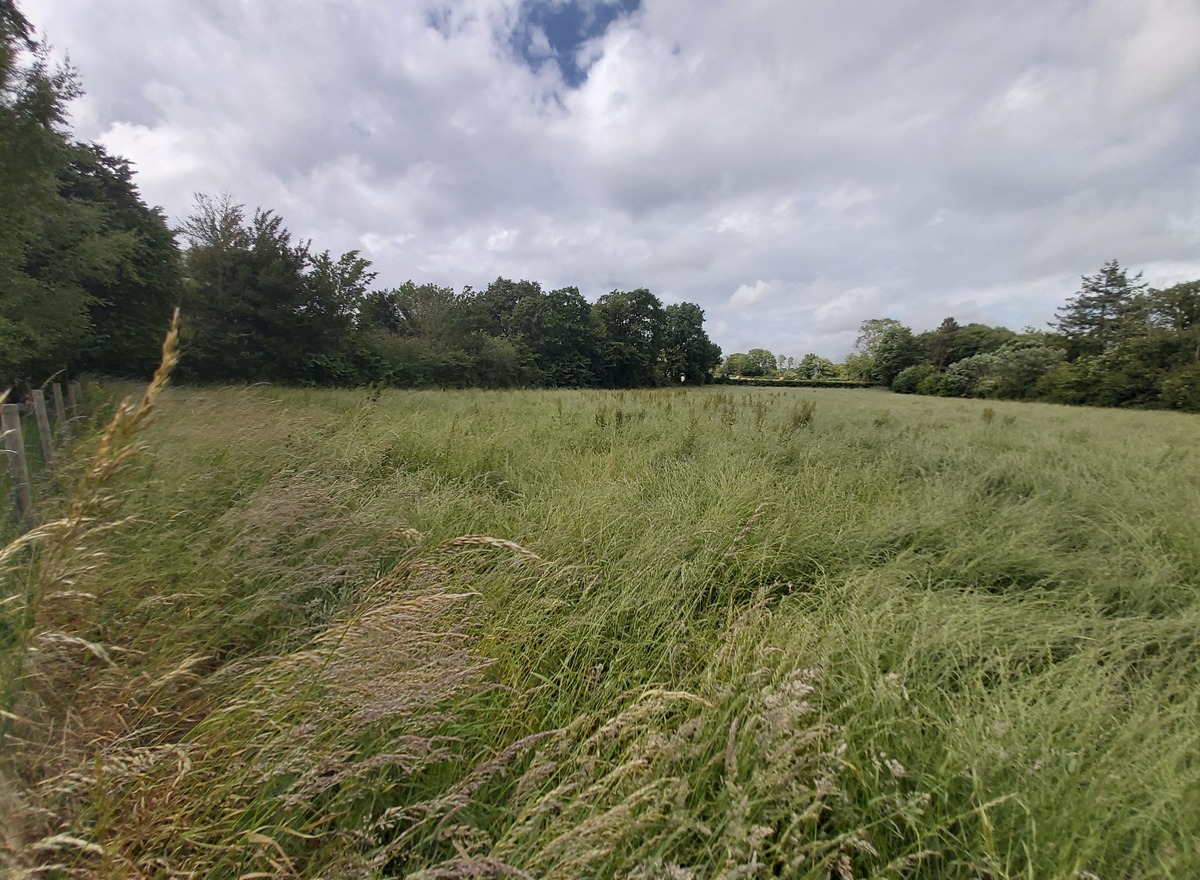 {@resource.title}, photo n° 3