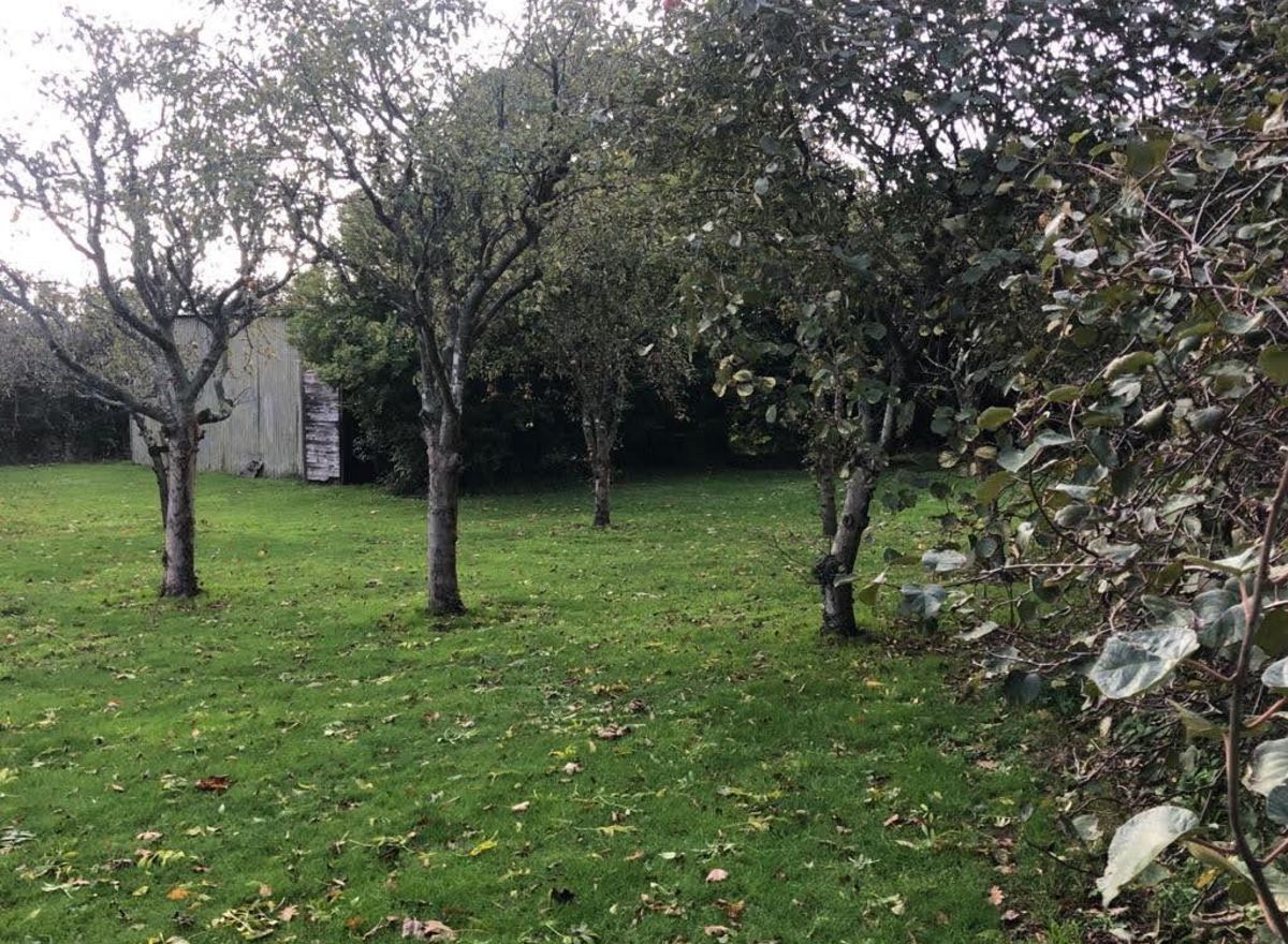 {@resource.title}, photo n° 2