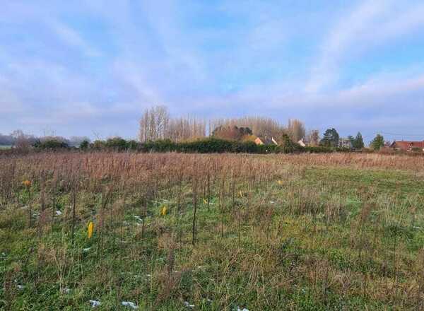Programme à Quend à route de la Plage