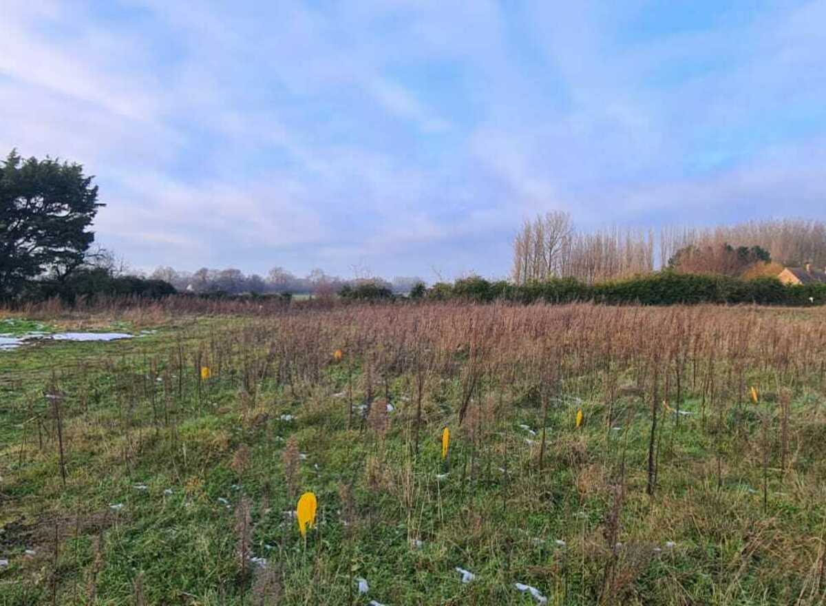 {@resource.title}, photo n° 2