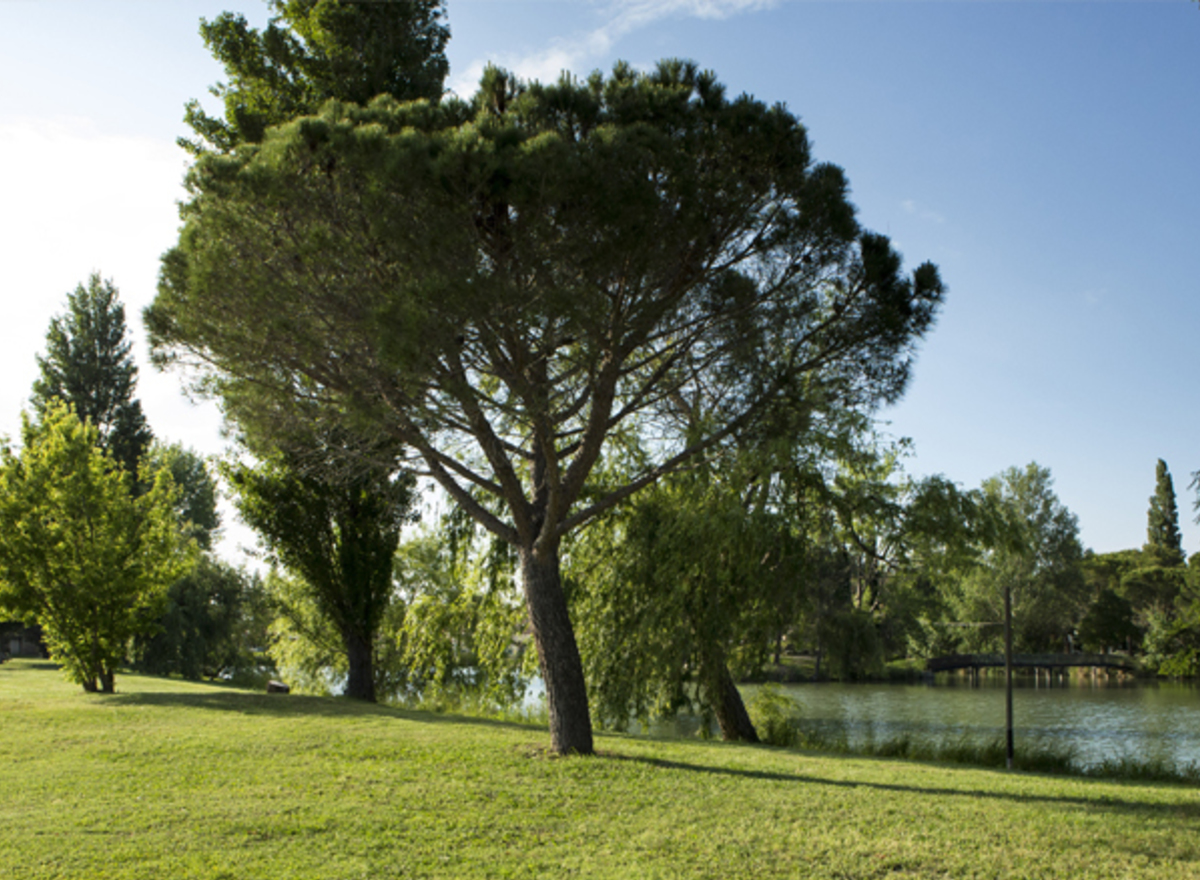 {@resource.title}, photo n° 9