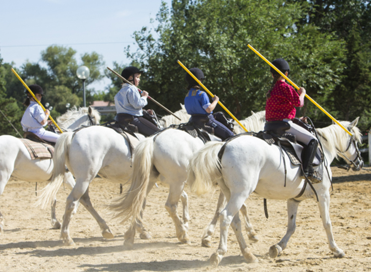 {@resource.title}, photo n° 10