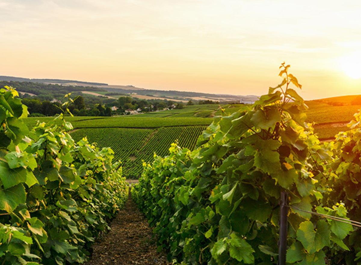 {@resource.title}, photo n° 3