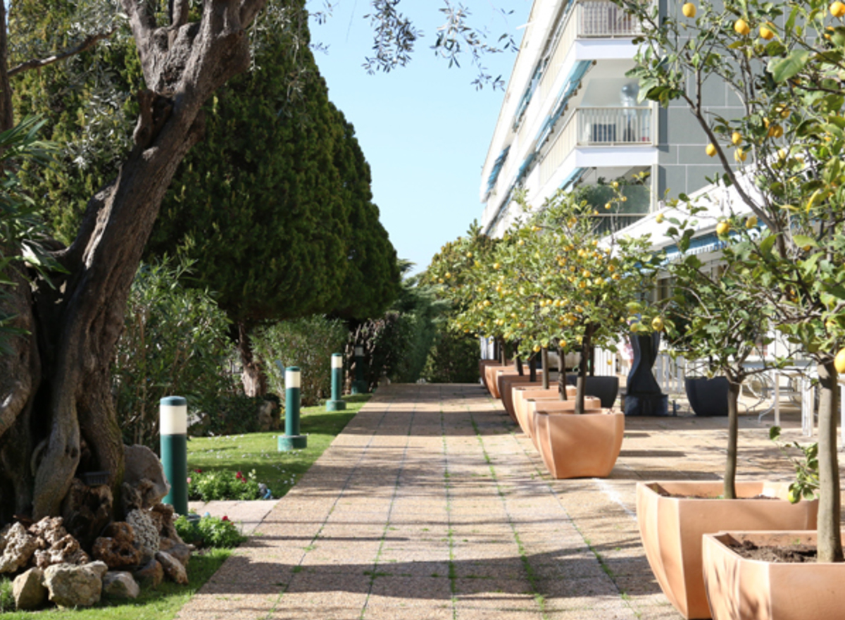 {@resource.title}, photo n° 6