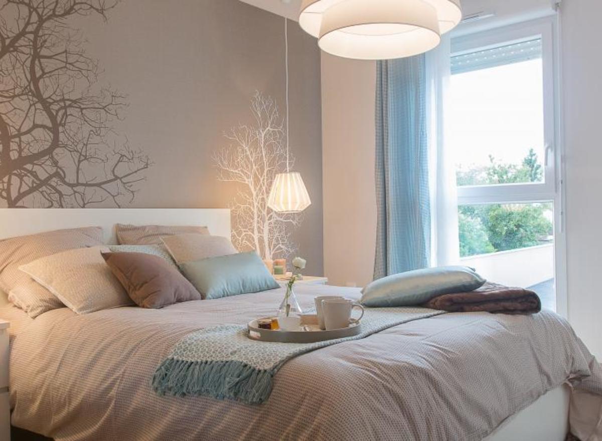 {@resource.title}, photo n° 2