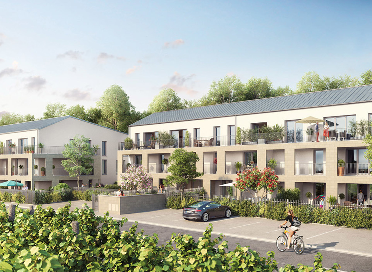 {@resource.title}, photo n° 1