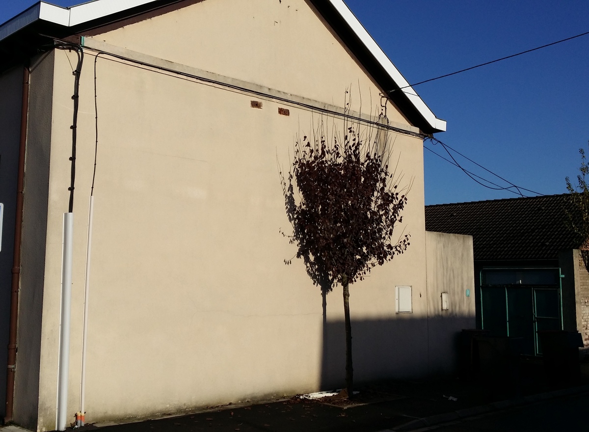 {@resource.title}, photo n° 6