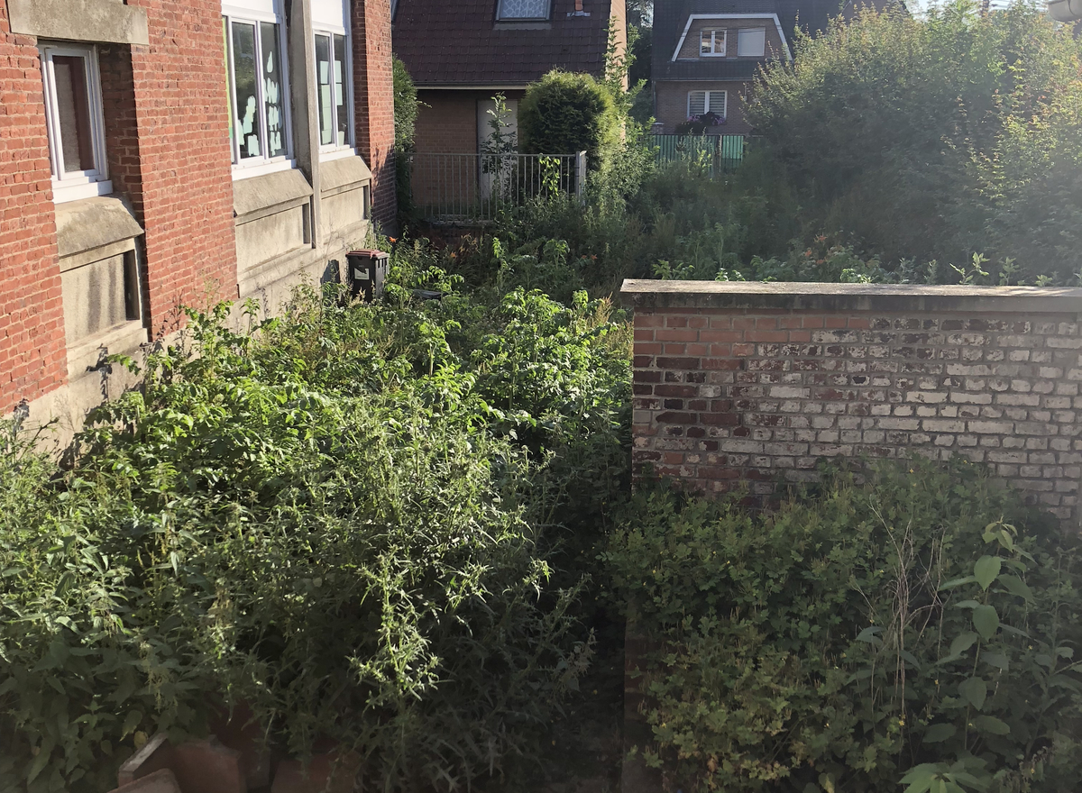 {@resource.title}, photo n° 5