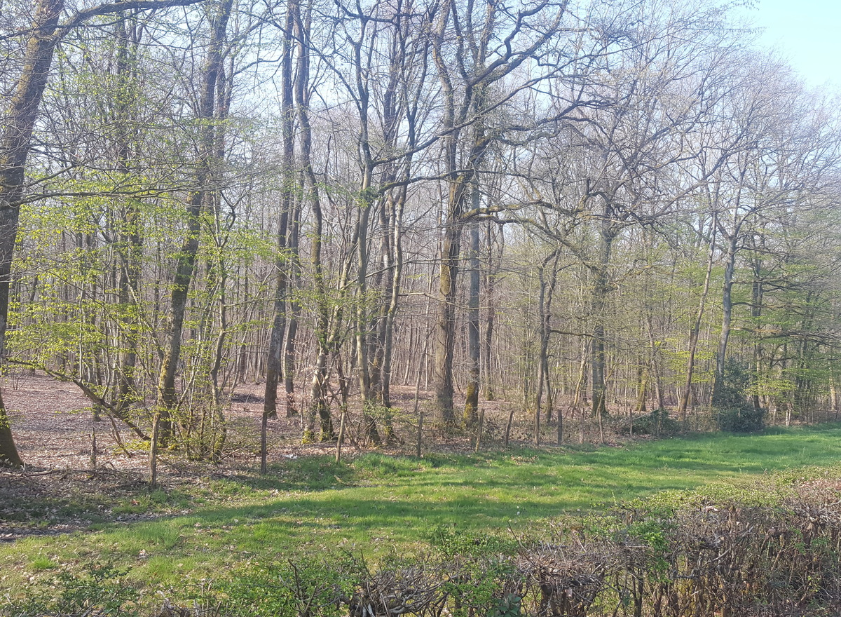 {@resource.title}, photo n° 2