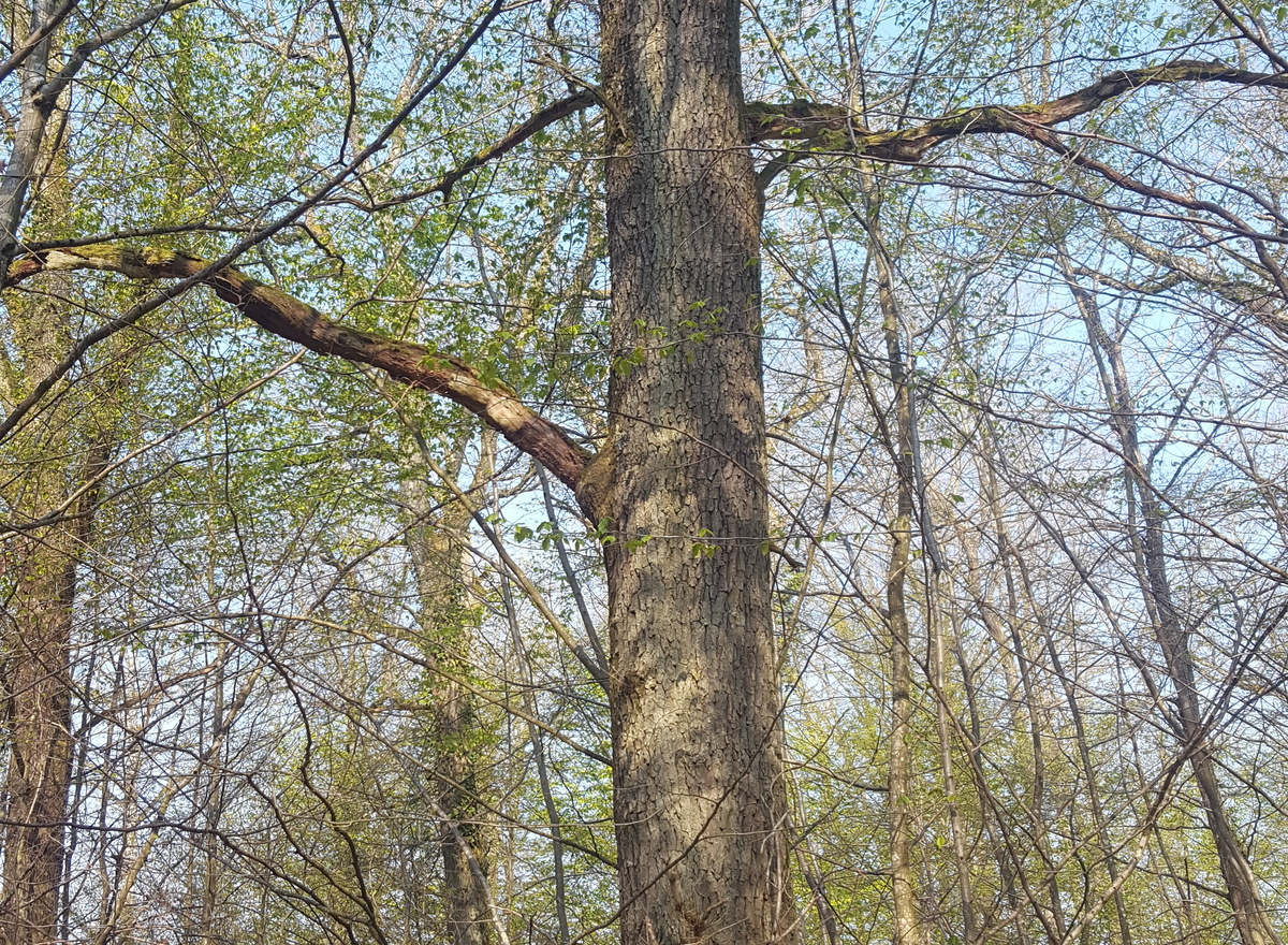 {@resource.title}, photo n° 3