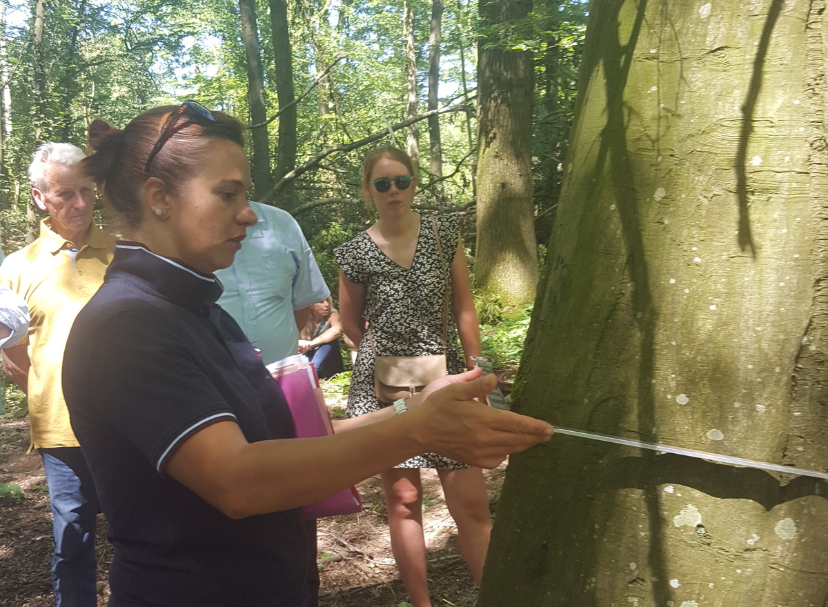 {@resource.title}, photo n° 4