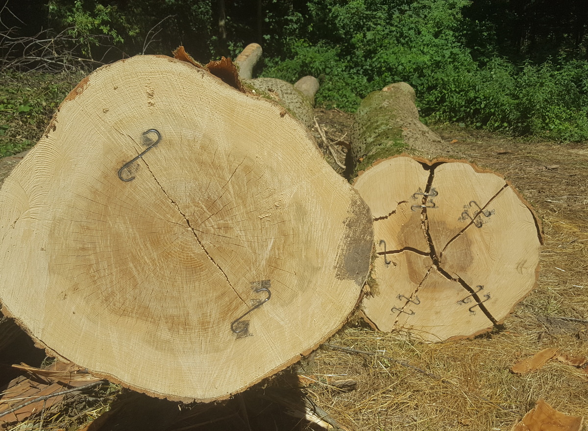 {@resource.title}, photo n° 5