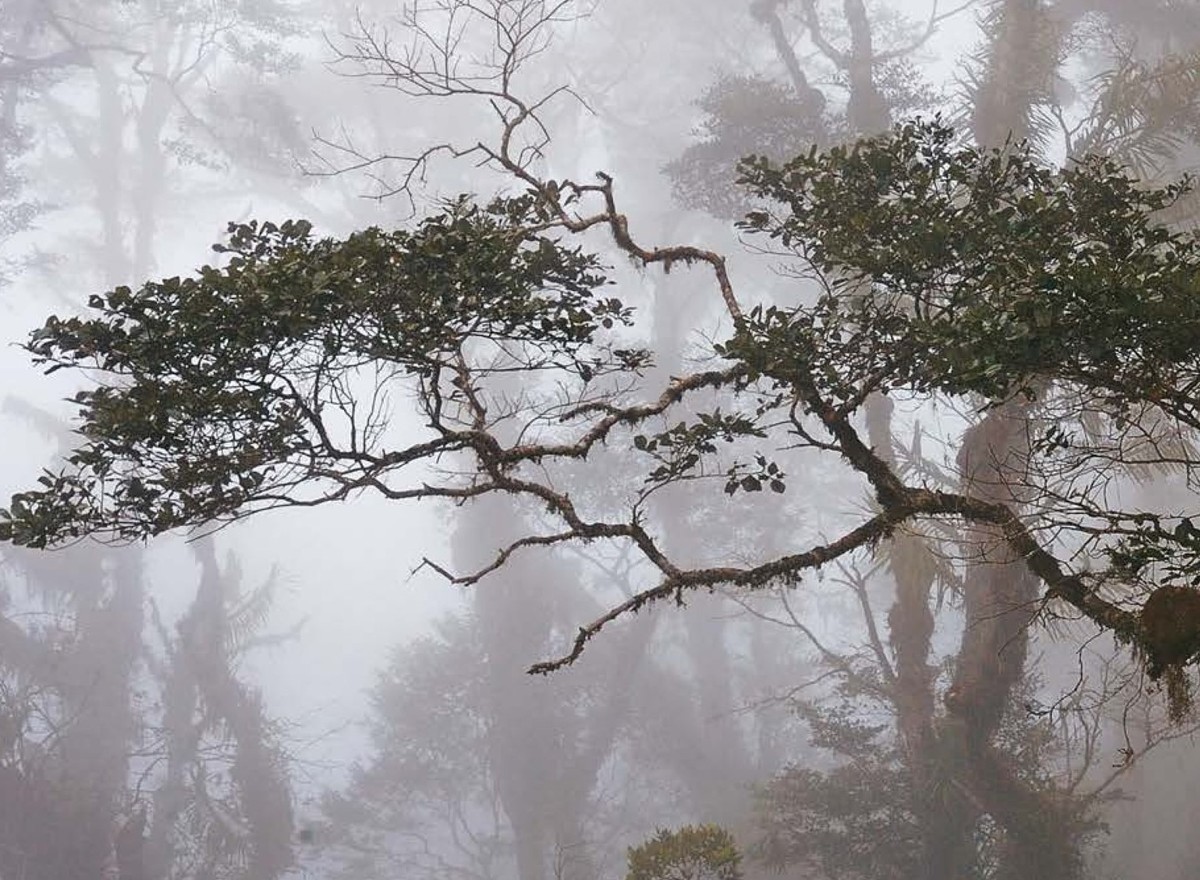 {@resource.title}, photo n° 6