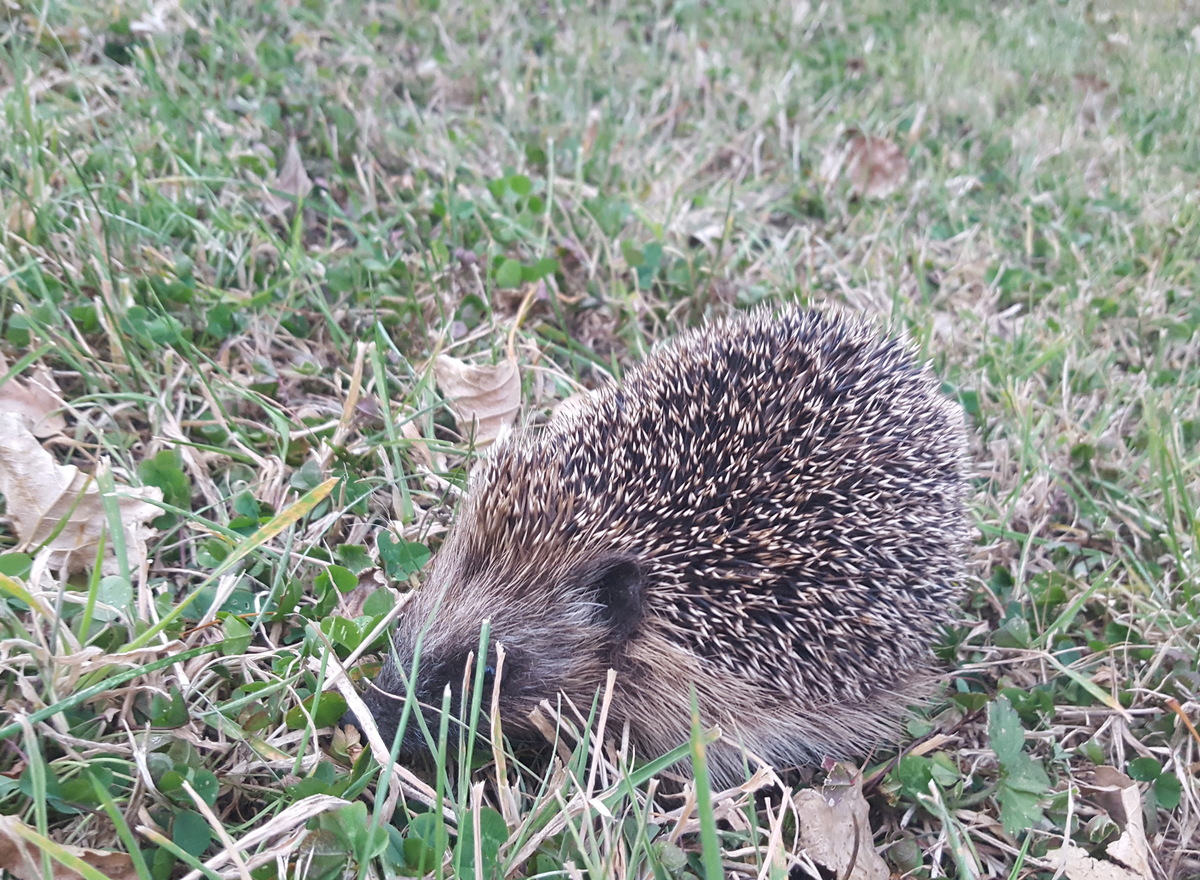 {@resource.title}, photo n° 7