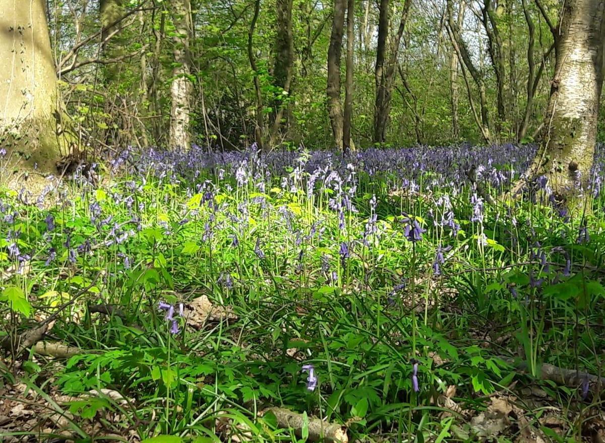 {@resource.title}, photo n° 8