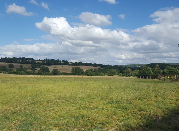 Forêt nouvelle en Mayenne