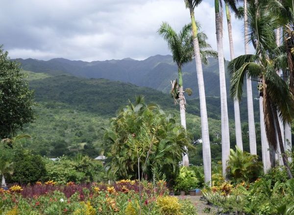 Appartement neuf T3 La possession