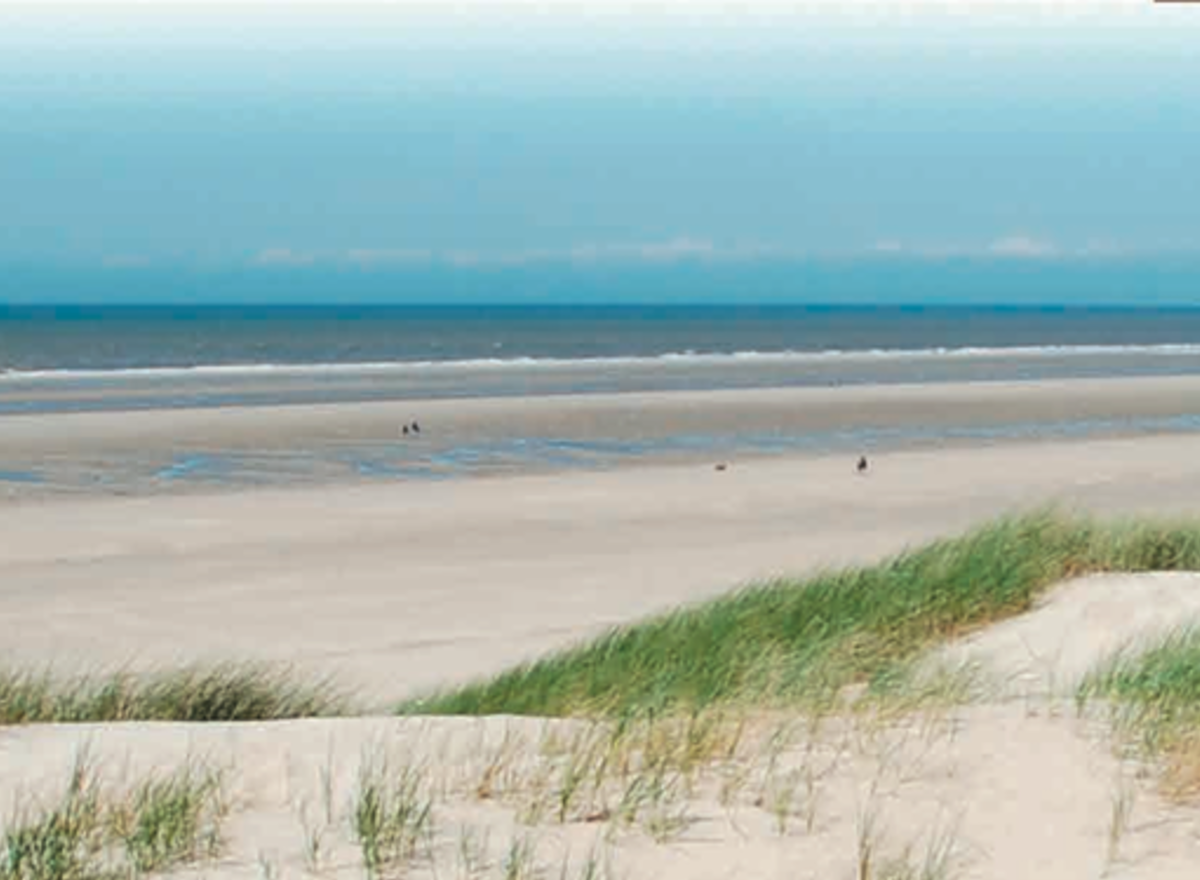 {@resource.title}, photo n° 3