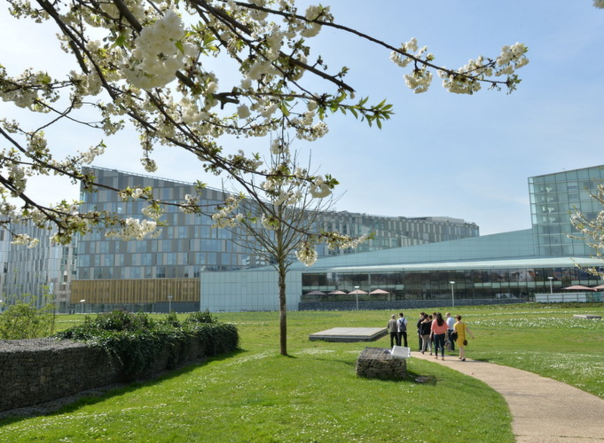 {@resource.title}, photo n° 2