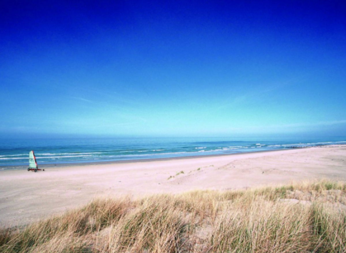 {@resource.title}, photo n° 2