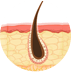 epilation definitive