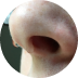 Des maux de tête