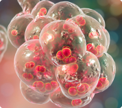 Dois-je également me faire vacciner contre le pneumocoque ?