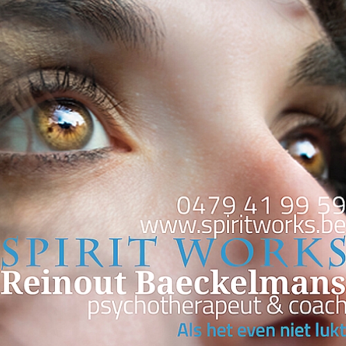 Reinout Baeckelmans Reinout Baeckelmans