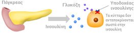 Diavitis typou 2