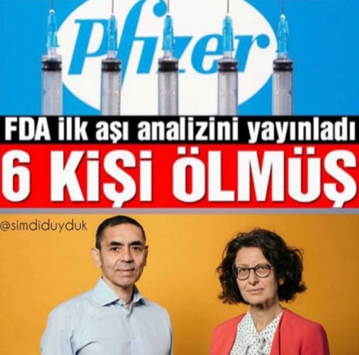 bt_1 bt_1