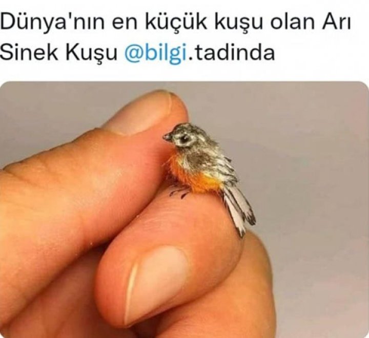 photo_1 photo_1