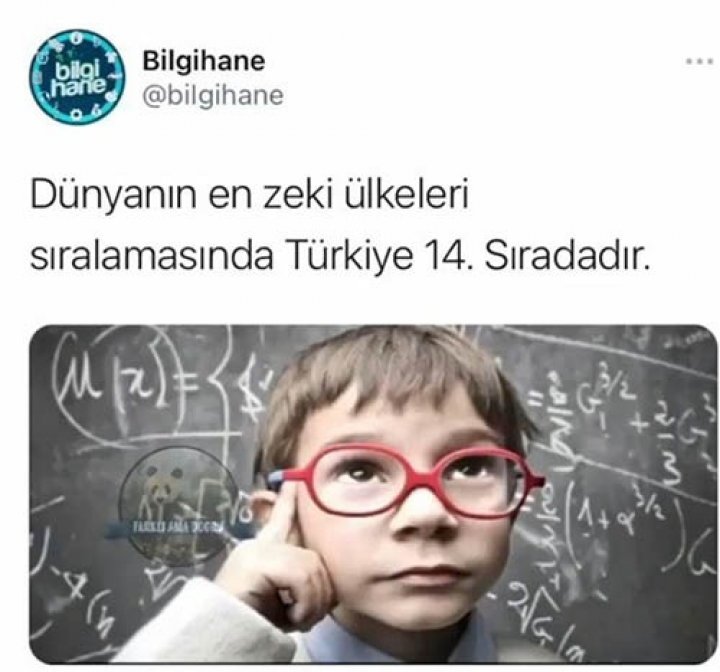 photo_1 photo_1