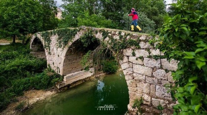 photo_2 photo_2