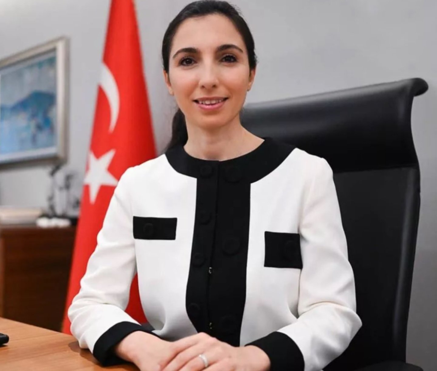 ddiada Yer Alan Twitter Hesab Merkez Bankas Ba kan Hafize Gaye ddiada-yer-alan-twitter-hesab-merkez-bankas-ba-kan-hafize-gaye