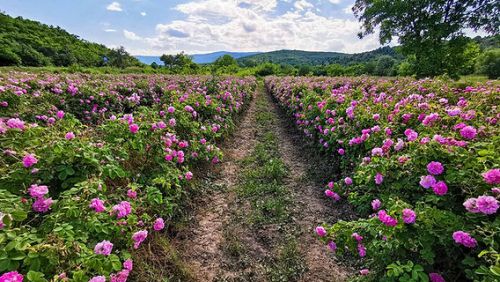 Равен Шанс | Сайт за дарения | Дарителски кампании | Без комисионна