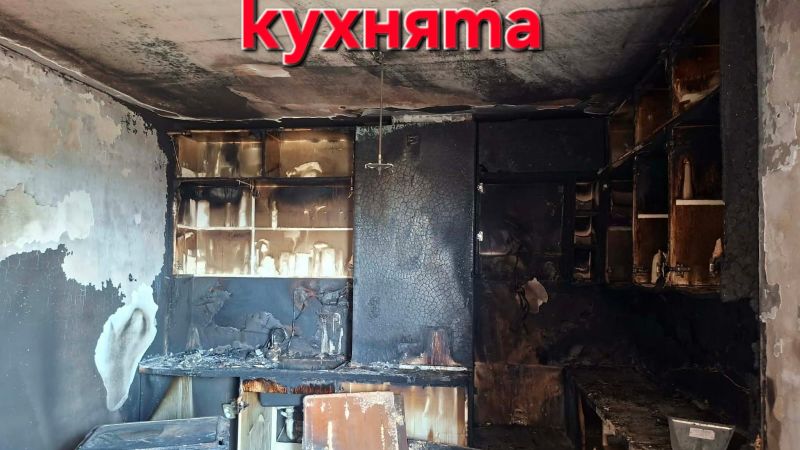 Нов дом за Съни | Сайт за дарения | Дарителски кампании | Без комисионна