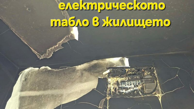 Нов дом за Съни | Сайт за дарения | Дарителски кампании | Без комисионна