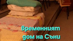 Нов дом за Съни | Сайт за дарения | Дарителски кампании | Без комисионна