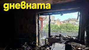 Нов дом за Съни | Сайт за дарения | Дарителски кампании | Без комисионна