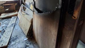 Нов дом за Съни | Сайт за дарения | Дарителски кампании | Без комисионна