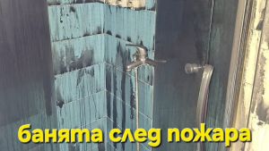 Нов дом за Съни | Сайт за дарения | Дарителски кампании | Без комисионна