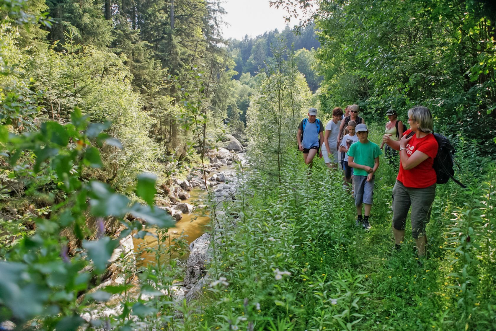 Gruppe wandert neben dem Fluss