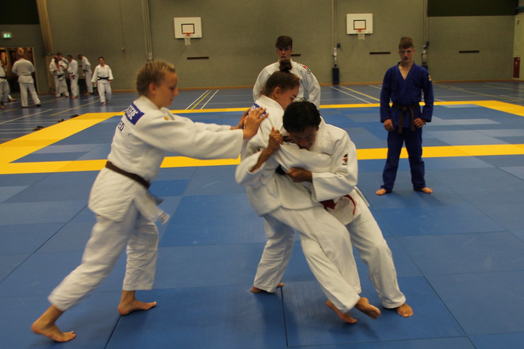 64210568_1393050104180378_6118975817109209088_o-1.jpg#asset:2054916