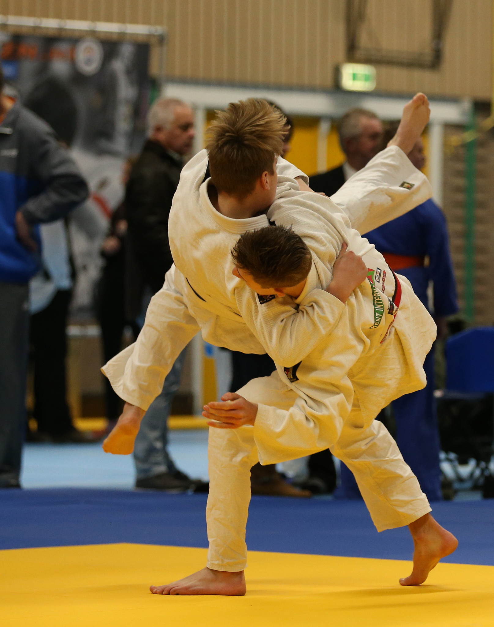 33111132998_1a1f852b10_k.jpg#asset:1676535