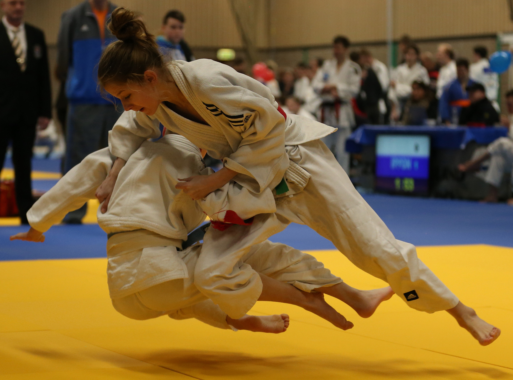 33111190418_f3509fde8d_k.jpg#asset:1676534